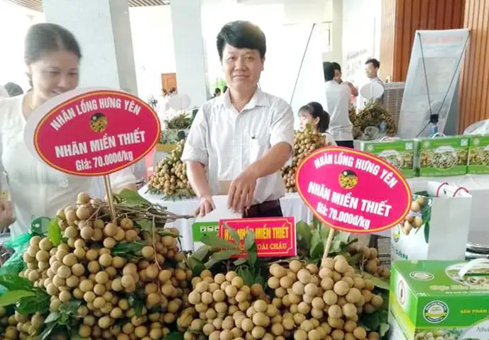 Nhãn Là Đặc Sản Của Tỉnh Nào? Đáp Án Là Nhãn Lồng Hưng Yên Nhãn Là Đặc Sản Của Tỉnh Nào? Đáp Án Là Nhãn Lồng Hưng Yên