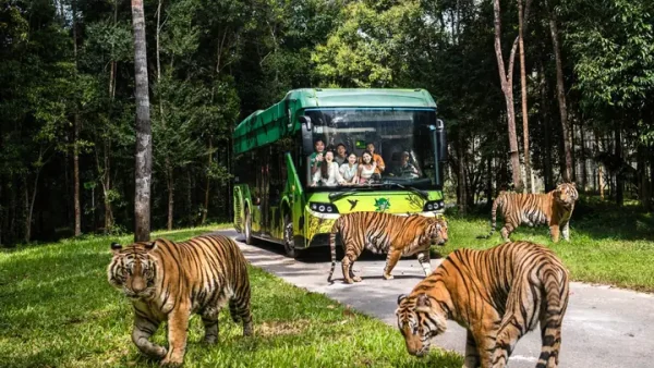 Khám Phá 25 Đặc Sản Bình Định Ngon Nhất: Bún Chả Cá, Nem Chợ Huyện, Rượu Bàu Đá Và Món Ăn Mang Hồn Vùng Đất Võ