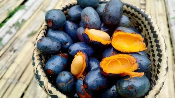 Tổng Hợp 27 Đặc Sản Phú Thọ: Món Ngon Nên Thử Và Nên Mua Về Làm Quà