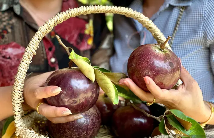 Top 20+ Đặc Sản Kiên Giang Làm Quà Nên Mua 2024: Phú Quốc, Hà Tiên, Rạch Giá (kèm Giá Tham Khảo & Địa Chỉ Uy Tín) Top 20+ Đặc Sản Kiên Giang Làm Quà Nên Mua 2024: Phú Quốc, Hà Tiên, Rạch Giá (kèm Giá Tham Khảo & Địa Chỉ Uy Tín)
