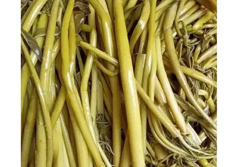 Khám Phá Rau Đặc Sản Củ Chi: Từ Định Nghĩa Đến Tiêu Chí Chọn Mua An Toàn