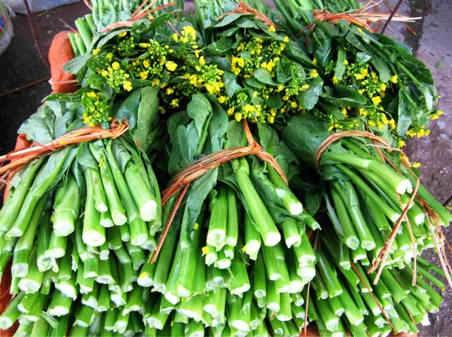 Tổng Hợp 10+ Loại Rau Đặc Sản Lạng Sơn "chỉ Có Ở Đấy": Tên Gọi, Mùa Vụ, Cách Chế Biến Và Mẹo Chọn Mua Tổng Hợp 10+ Loại Rau Đặc Sản Lạng Sơn "chỉ Có Ở Đấy": Tên Gọi, Mùa Vụ, Cách Chế Biến Và Mẹo Chọn Mua
