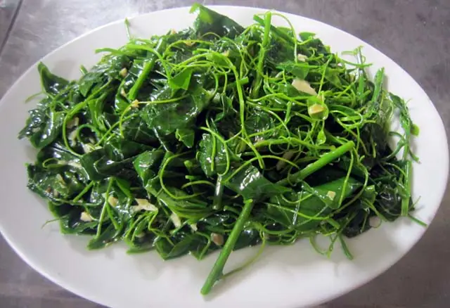 Tổng Hợp 10+ Loại Rau Đặc Sản Lạng Sơn "chỉ Có Ở Đấy": Tên Gọi, Mùa Vụ, Cách Chế Biến Và Mẹo Chọn Mua Tổng Hợp 10+ Loại Rau Đặc Sản Lạng Sơn "chỉ Có Ở Đấy": Tên Gọi, Mùa Vụ, Cách Chế Biến Và Mẹo Chọn Mua
