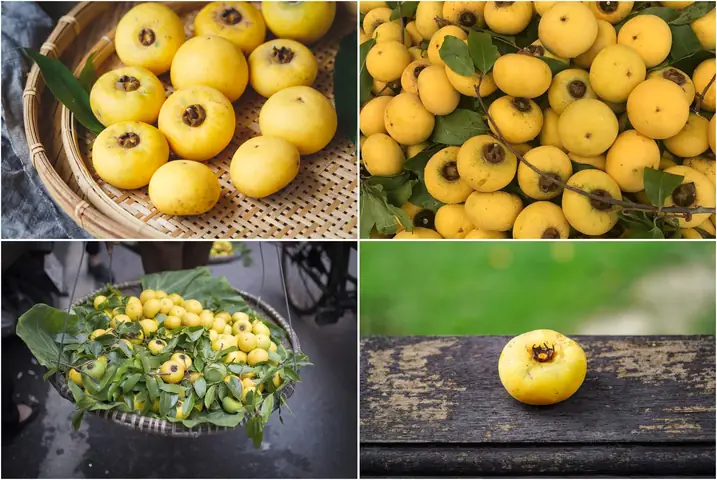 Top 15+ Đặc Sản Hà Nội Tháng 11: Món Ăn Nóng & Quà Mang Về Đáng Thử Nhất Mùa Thu - Đông
