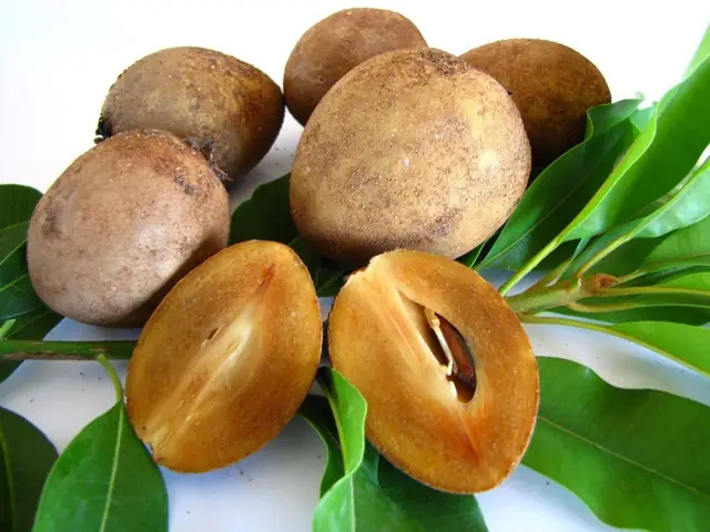 Top 15+ Đặc Sản Hà Nội Tháng 11: Món Ăn Nóng & Quà Mang Về Đáng Thử Nhất Mùa Thu - Đông