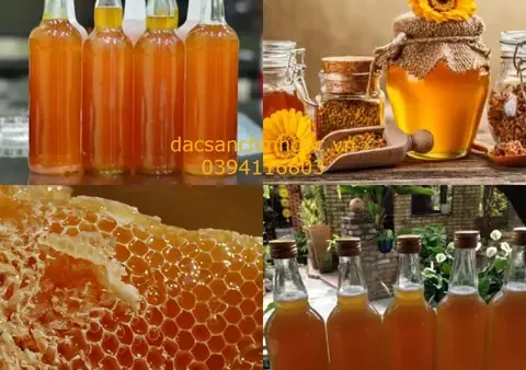 Khám Phá Đặc Sản Cà Mau: Danh Sách Món Ngon Định Danh Vùng Đất Mũi