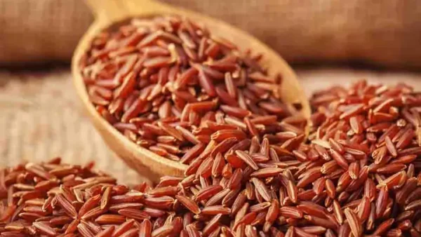 Tổng Hợp Đặc Sản Phú Yên Cho Bài Thuyết Minh: Phân Loại Hệ Thống, Dàn Ý Chuẩn & 10+ Món Trứ Danh Cần Trình Bày