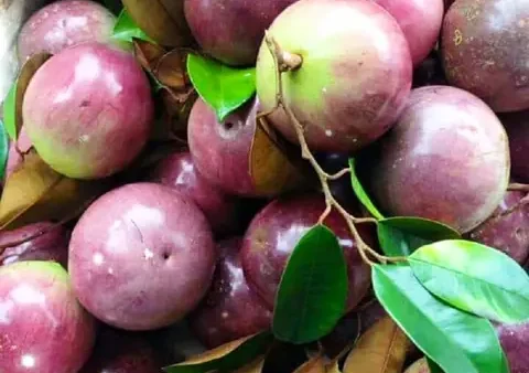 Khám Phá 19 Đặc Sản Tiền Giang: Địa Chỉ Mua, Mức Giá Và Cách Lựa Chọn Quà Tặng Độc Đáo