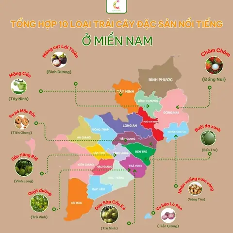 Danh Sách Các Loại Trái Cây Đặc Sản Nổi Tiếng Tại Việt Nam Danh Sách Các Loại Trái Cây Đặc Sản Nổi Tiếng Tại Việt Nam
