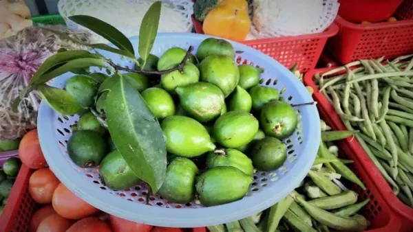 Trái Cây Đặc Sản An Giang Là Gì? Những Loại Nổi Tiếng Và Đặc Điểm Nhận Dạng