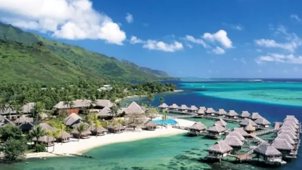 Top 10 Trái Cây Đặc Sản Indonesia Không Thể Bỏ Qua – Salak, Dừa Vàng Và Nhiều Loại Khác