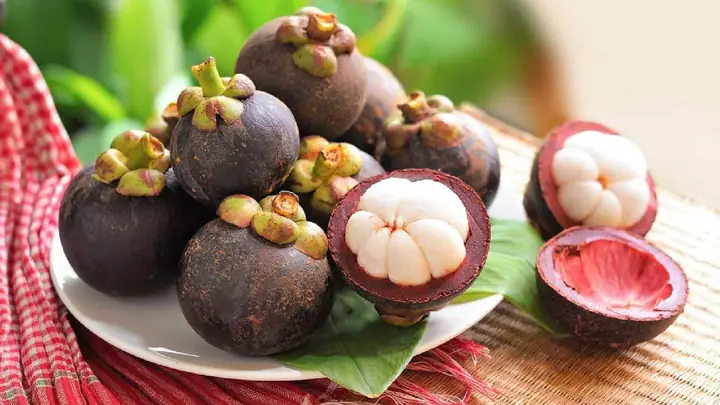 Khám Phá Danh Sách Trái Cây Đặc Sản Nha Trang Nổi Tiếng Và Cách Lựa Chọn Mua Quà Khám Phá Danh Sách Trái Cây Đặc Sản Nha Trang Nổi Tiếng Và Cách Lựa Chọn Mua Quà