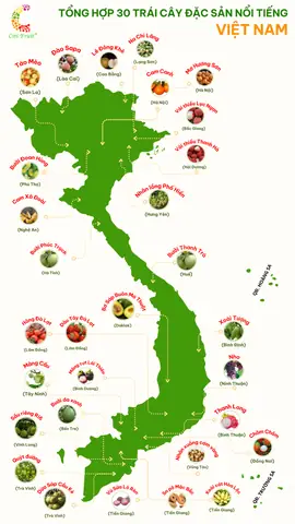 Tổng Hợp 15+ Loại Trái Cây Đặc Sản Tây Nguyên Nổi Tiếng: Mùa Vụ, Giá Tham Khảo & Mẹo Chọn Mua Ngon Đúng Chất