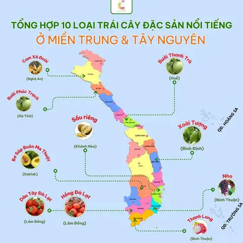 Tổng Hợp 15+ Loại Trái Cây Đặc Sản Tây Nguyên Nổi Tiếng: Mùa Vụ, Giá Tham Khảo & Mẹo Chọn Mua Ngon Đúng Chất
