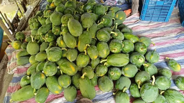 Trái Cây Đặc Sản Tây Ninh: Danh Sách Các Loại Nên Thử Và Cách Chọn Mua Trái Cây Đặc Sản Tây Ninh: Danh Sách Các Loại Nên Thử Và Cách Chọn Mua