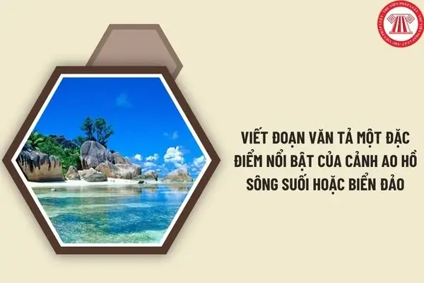 Tổng Hợp 30+ Mẫu Đoạn Văn Miêu Tả Đặc Sản Quê Hương Hay, Điểm Cao (có Dàn Ý Chi Tiết & Từ Vựng Miêu Tả)